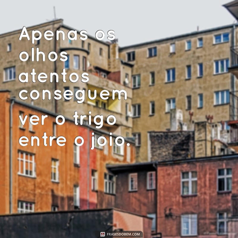 Trigo e Joio: Entenda a Parábola e Seus Ensinamentos para a Vida 