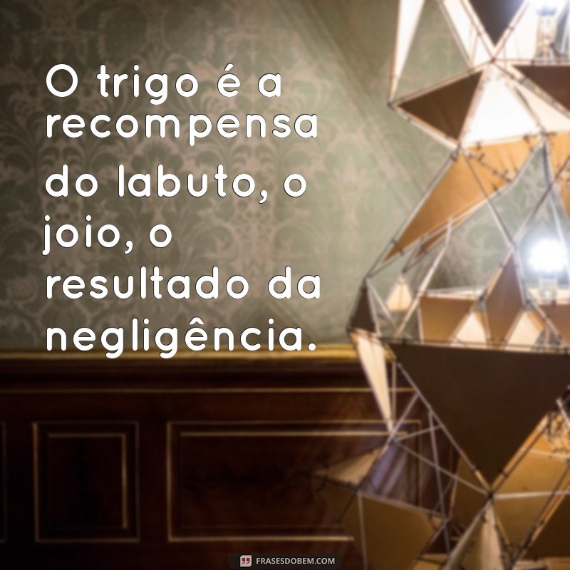 Trigo e Joio: Entenda a Parábola e Seus Ensinamentos para a Vida 