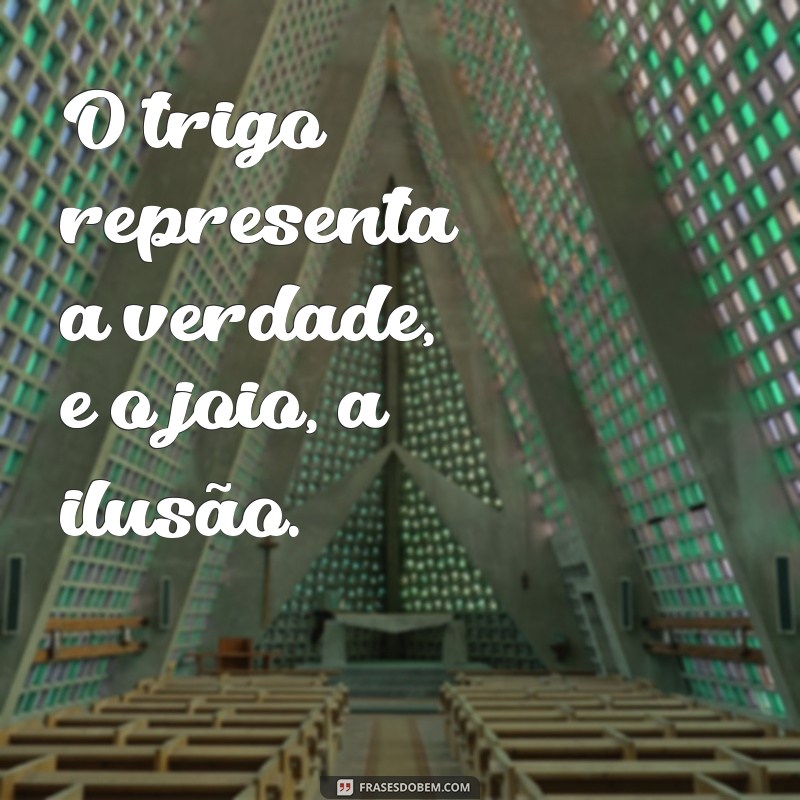 Trigo e Joio: Entenda a Parábola e Seus Ensinamentos para a Vida 