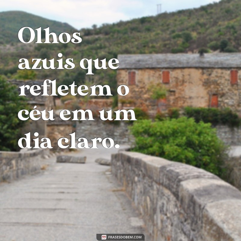 olhos azul Olhos azuis que refletem o céu em um dia claro.