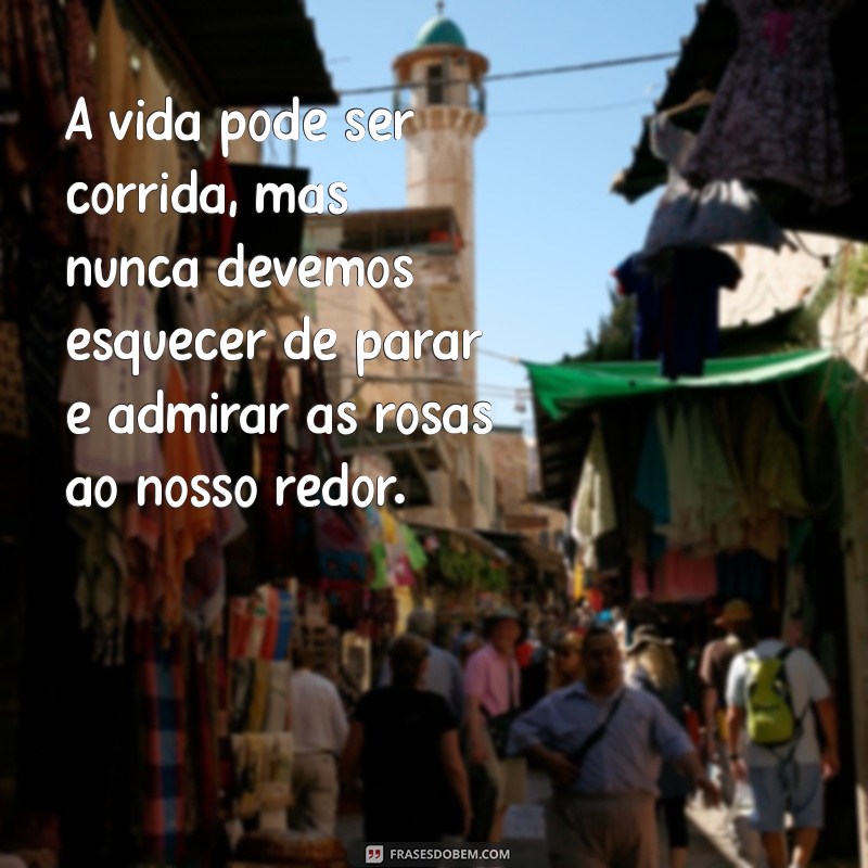 Frases Inspiradoras sobre Rosas: Beleza e Sabedoria em Palavras 