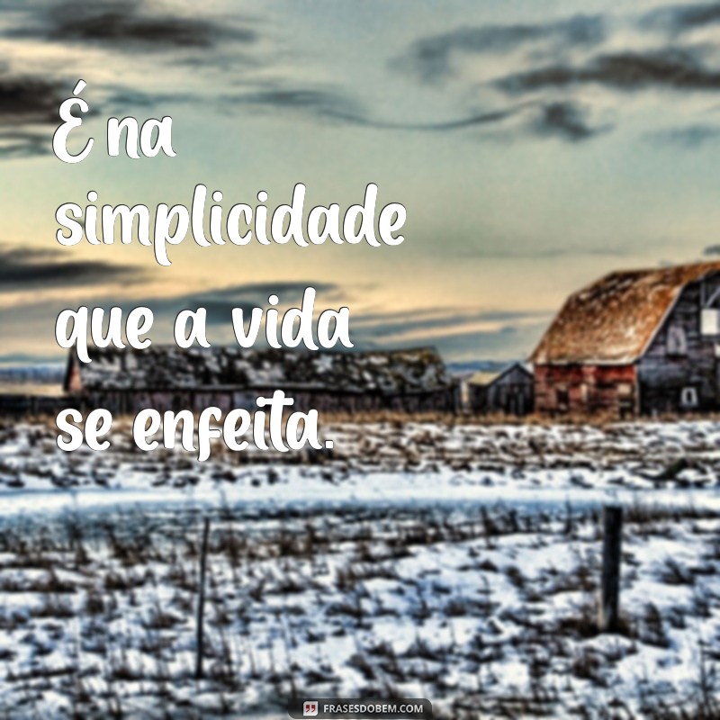 é na simplicidade que a vida se enfeita É na simplicidade que a vida se enfeita.