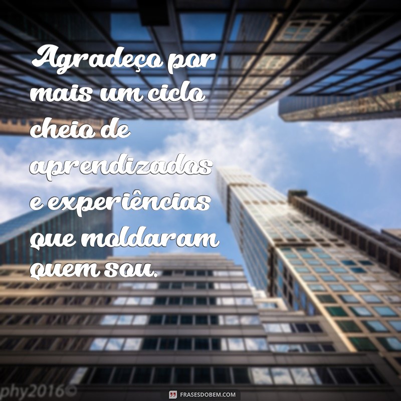 Frases de Aniversário para Celebrar a Gratidão: Mensagens Inspiradoras para Você 