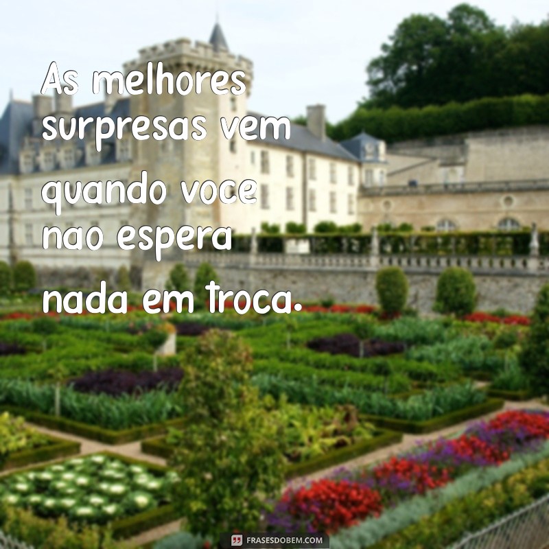 Aprenda a Valorizar Sua Independência: A Importância de Não Esperar Nada de Ninguém 