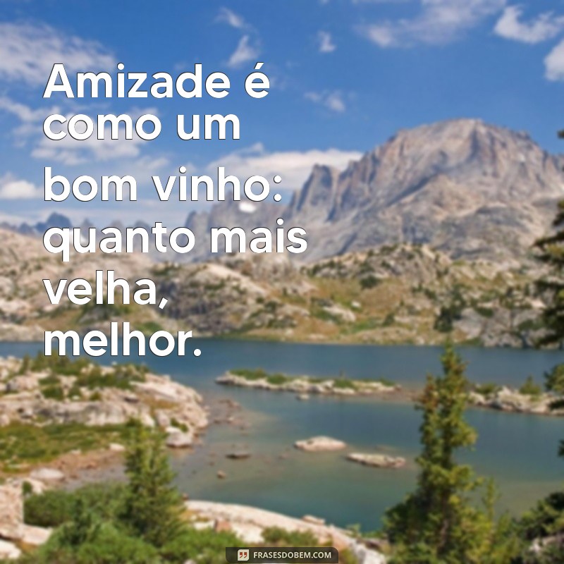 frases para seu amigo Amizade é como um bom vinho: quanto mais velha, melhor.