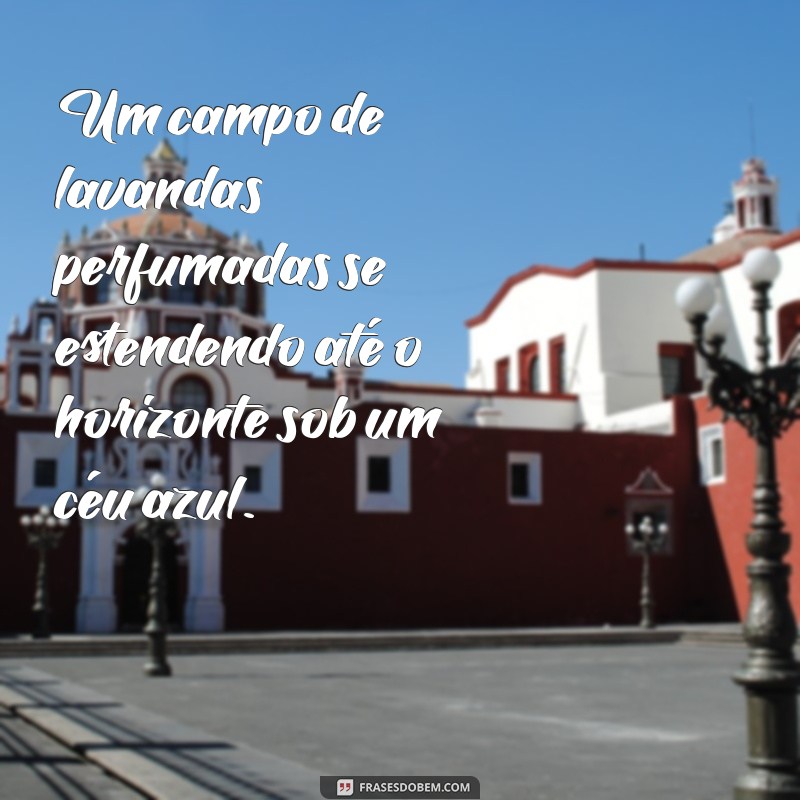 paisagens bonitas Um campo de lavandas perfumadas se estendendo até o horizonte sob um céu azul.