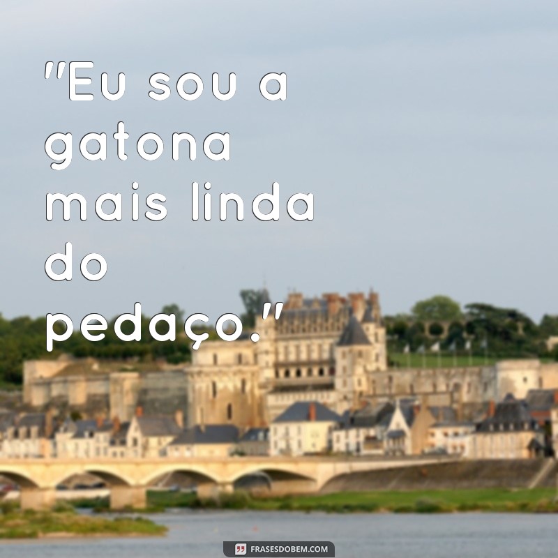 frases gatona 