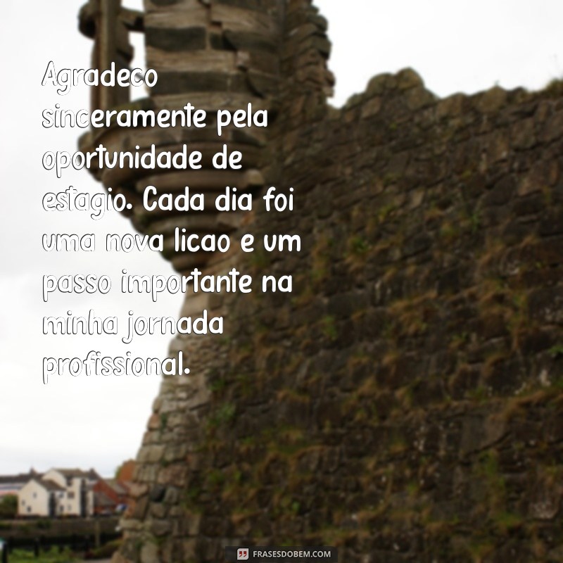 mensagem de agradecimento estagio Agradeço sinceramente pela oportunidade de estágio. Cada dia foi uma nova lição e um passo importante na minha jornada profissional.