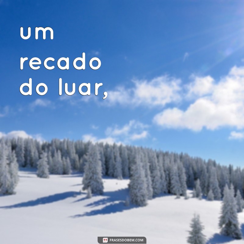 Descubra Poemas Brasileiros Curtos que Encantam e Inspiram 