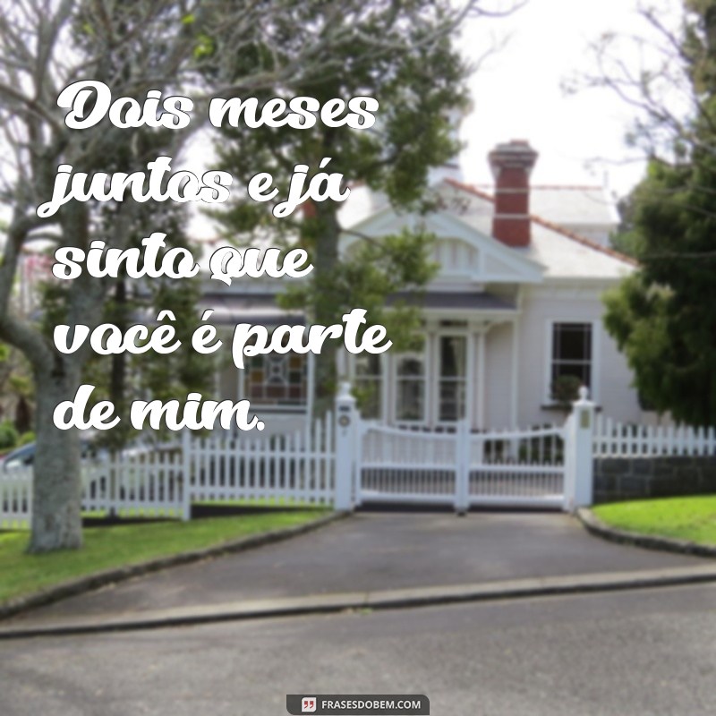 Celebrando 2 Meses da Minha Princesa: Momentos Inesquecíveis e Dicas para Pais 
