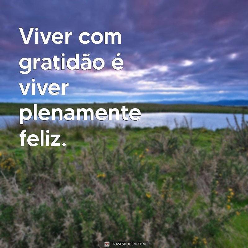 Frases Inspiradoras de Felicidade e Gratidão para Iluminar Seu Dia 