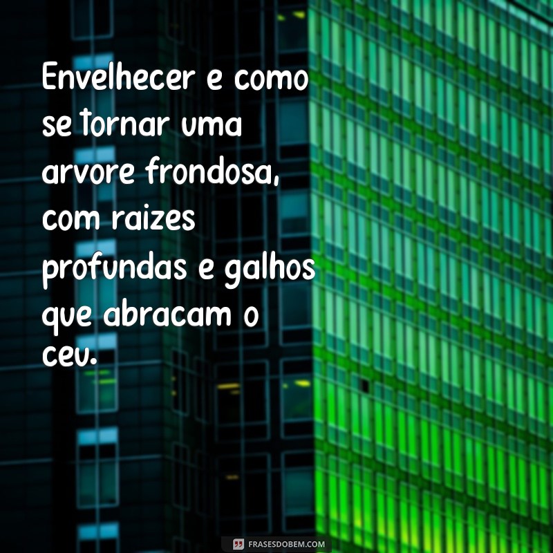 Reflexões Profundas sobre o Envelhecer: Aceitação e Sabedoria ao Longo da Vida 