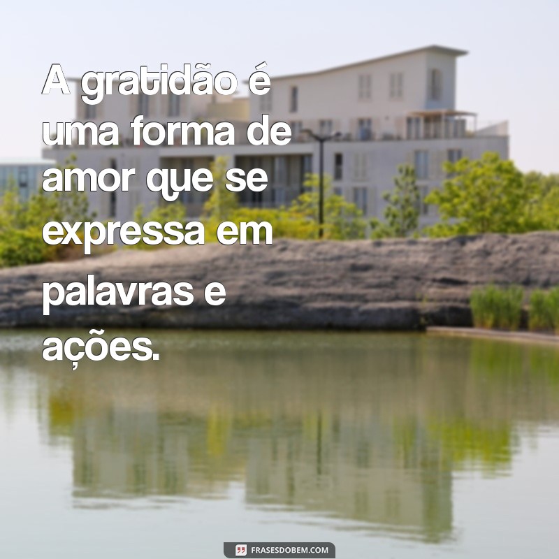 24 Frases Inspiradoras de Agradecimento para Expressar Sua Gratidão 