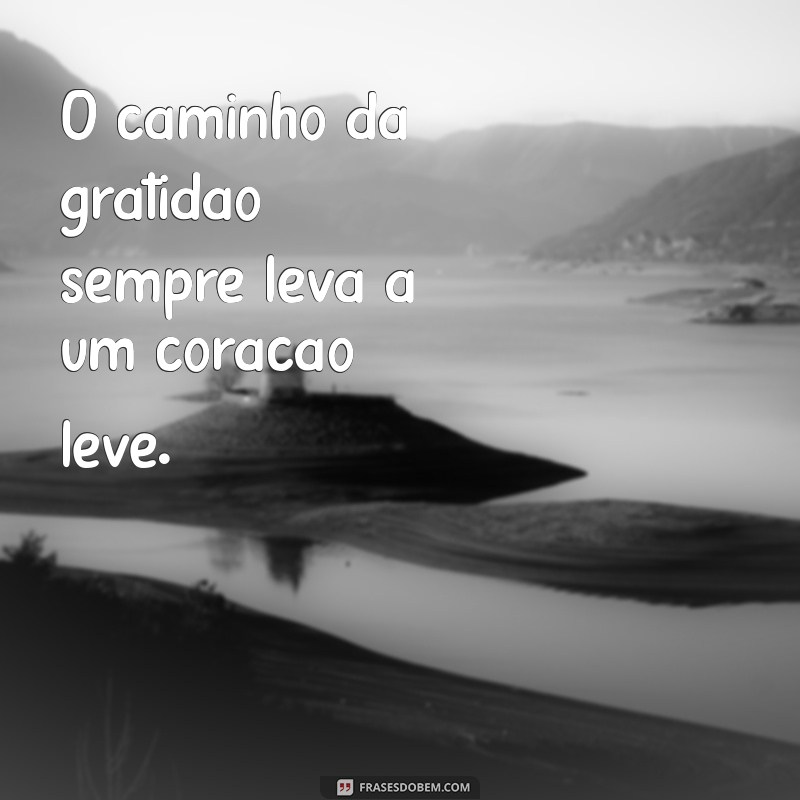 caminhos da vida O caminho da gratidão sempre leva a um coração leve.