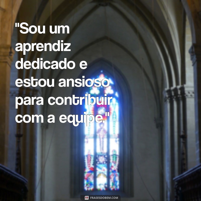 frases para colocar em curriculo primeiro emprego 