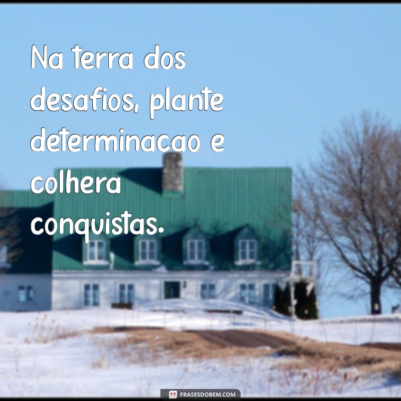 Frases Inspiradoras sobre Plantar: Cultive Suas Ideias e Sonhos 