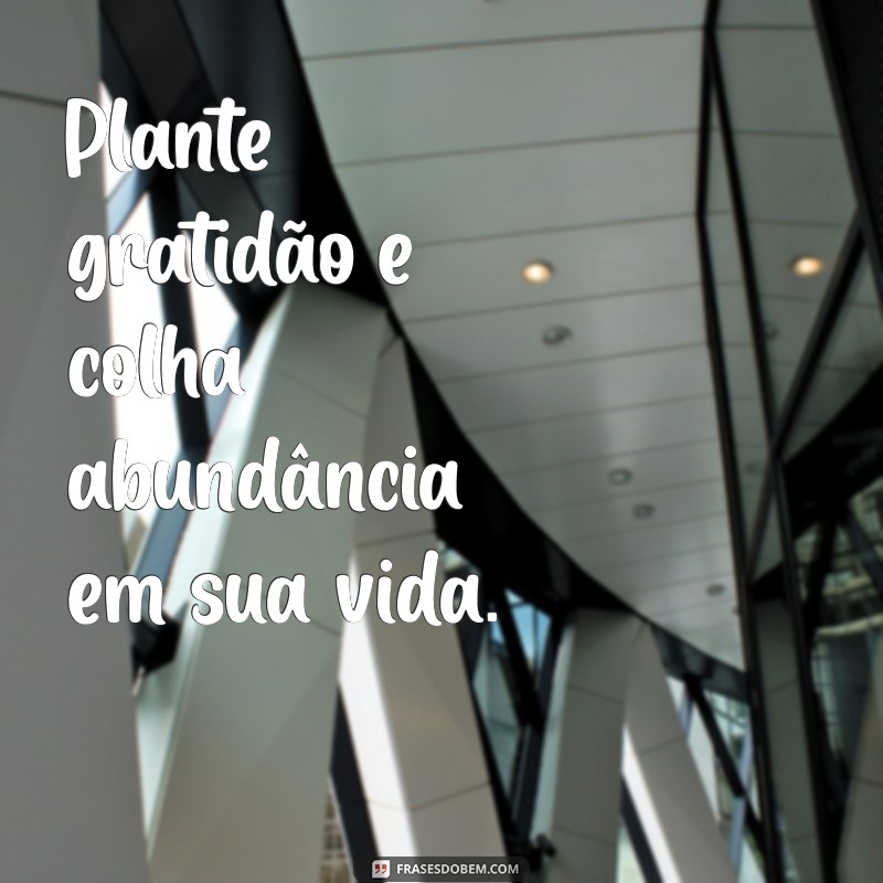 Frases Inspiradoras sobre Plantar: Cultive Suas Ideias e Sonhos 