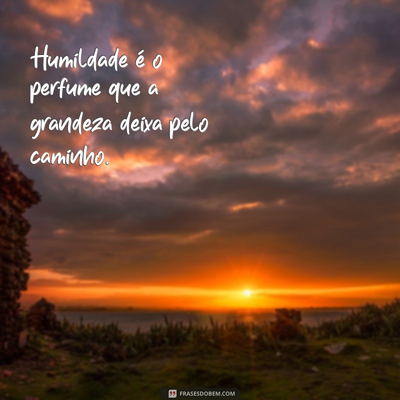 Frases Inspiradoras de Humildade para Transformar Seu Status 