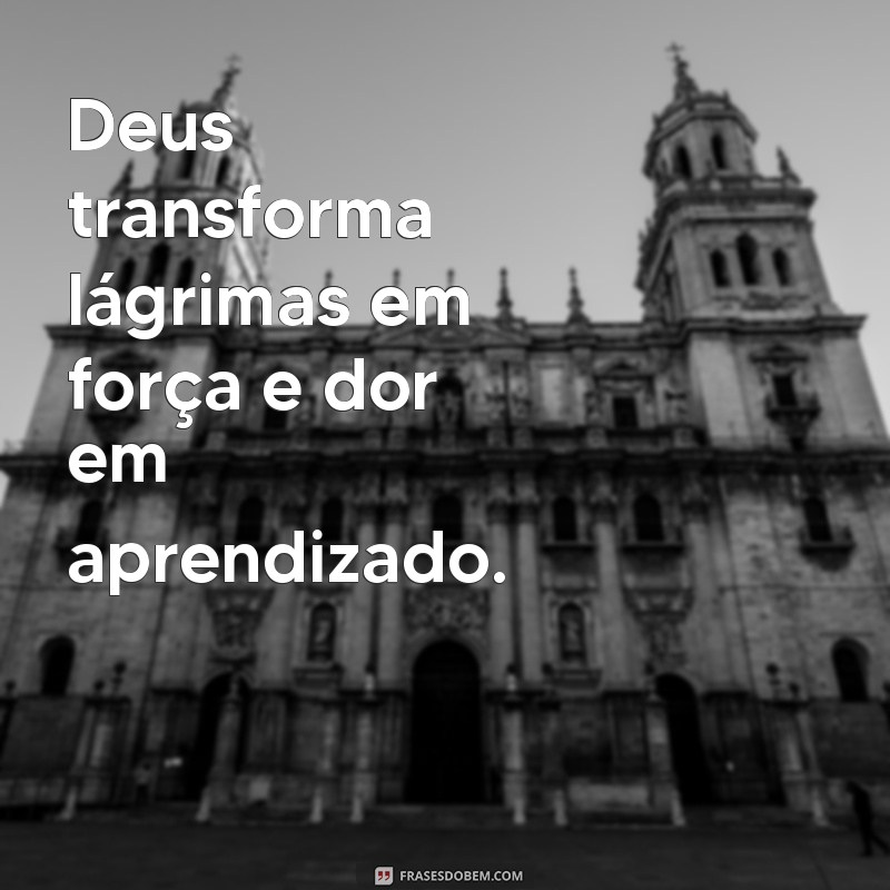 Frases Inspiradoras do Dia: Motivação Divina para Transformar sua Vida 