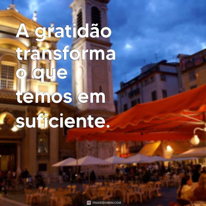 frases de bem com vida A gratidão transforma o que temos em suficiente.