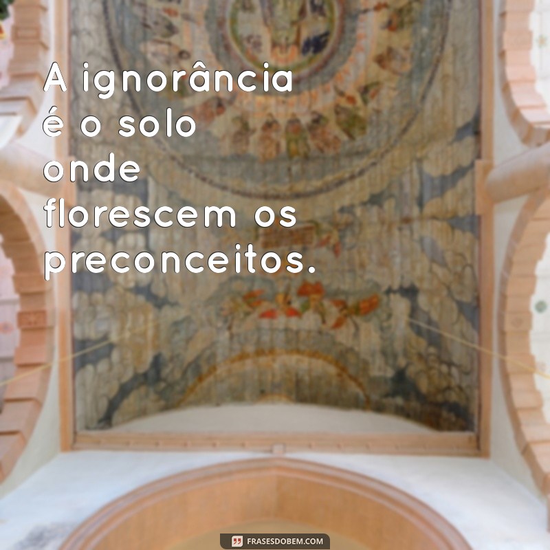 frases ignorância A ignorância é o solo onde florescem os preconceitos.