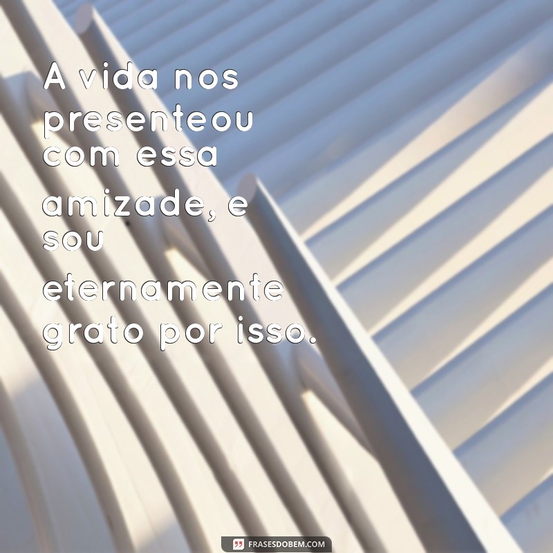 Frases Inspiradoras para Celebrar a Amizade Especial 