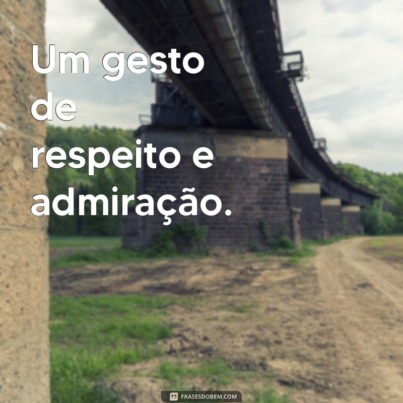 beijo na mao significa o que Um gesto de respeito e admiração.