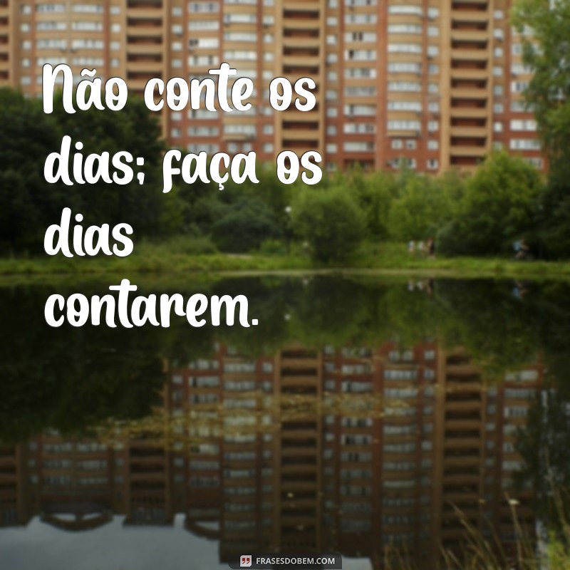 Descubra as Melhores Frases de Cadal para Inspirar e Motivar 