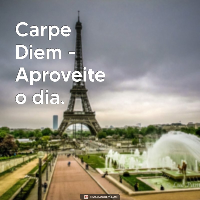 frases em latim para bio Carpe Diem - Aproveite o dia.