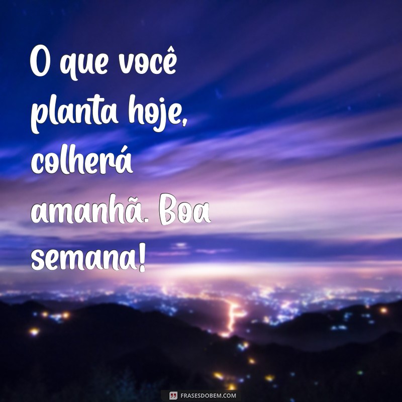 Frases Inspiradoras de Bom Dia para Começar a Semana com Positividade 