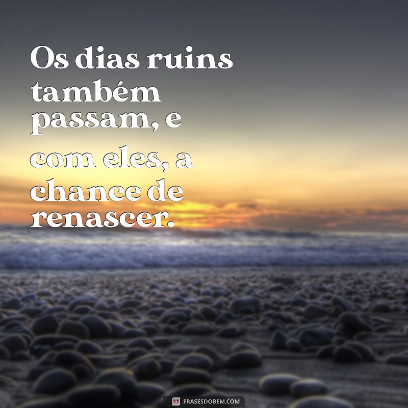 os dias ruins também passam Os dias ruins também passam, e com eles, a chance de renascer.