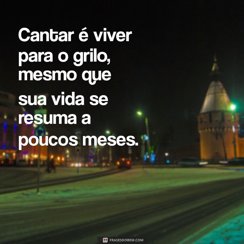 Descubra Quanto Tempo Vive um Grilo Cantando: Curiosidades e Fatos Interessantes 