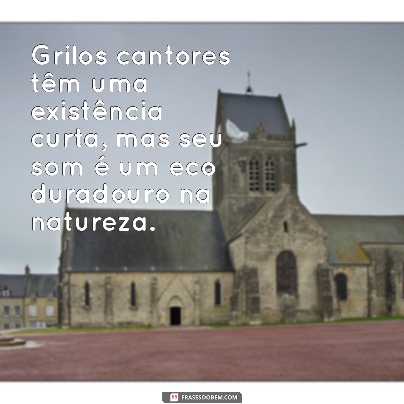 Descubra Quanto Tempo Vive um Grilo Cantando: Curiosidades e Fatos Interessantes 