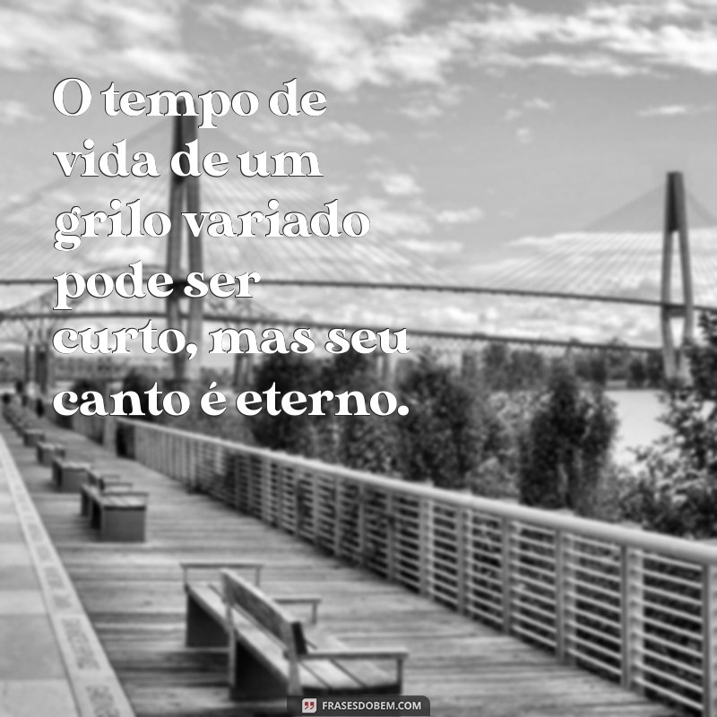 Descubra Quanto Tempo Vive um Grilo Cantando: Curiosidades e Fatos Interessantes 