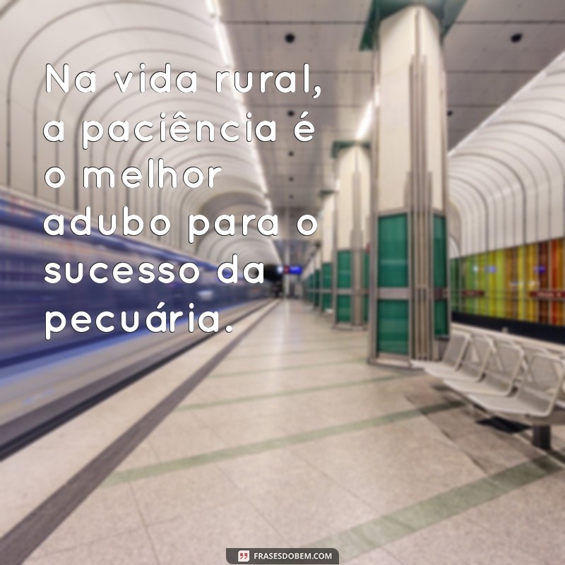 Frases Inspiradoras sobre Pecuária: Reflexões e Sabedoria do Campo 