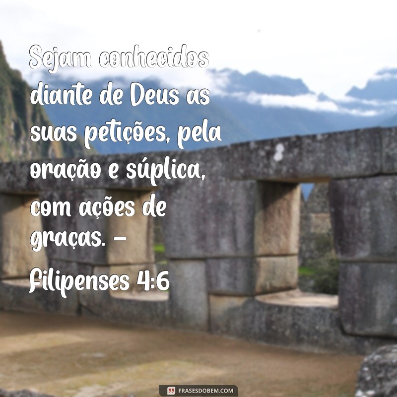 Versículos Bíblicos de Gratidão a Deus: Inspire-se e Agradeça 