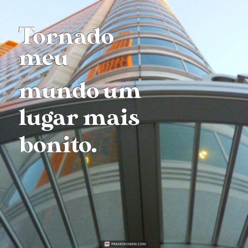 As Melhores Frases para Transformar sua Bio do Instagram em um Sucesso 