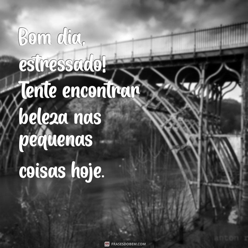 Como Transformar um Bom Dia Estressado em Motivação Positiva 