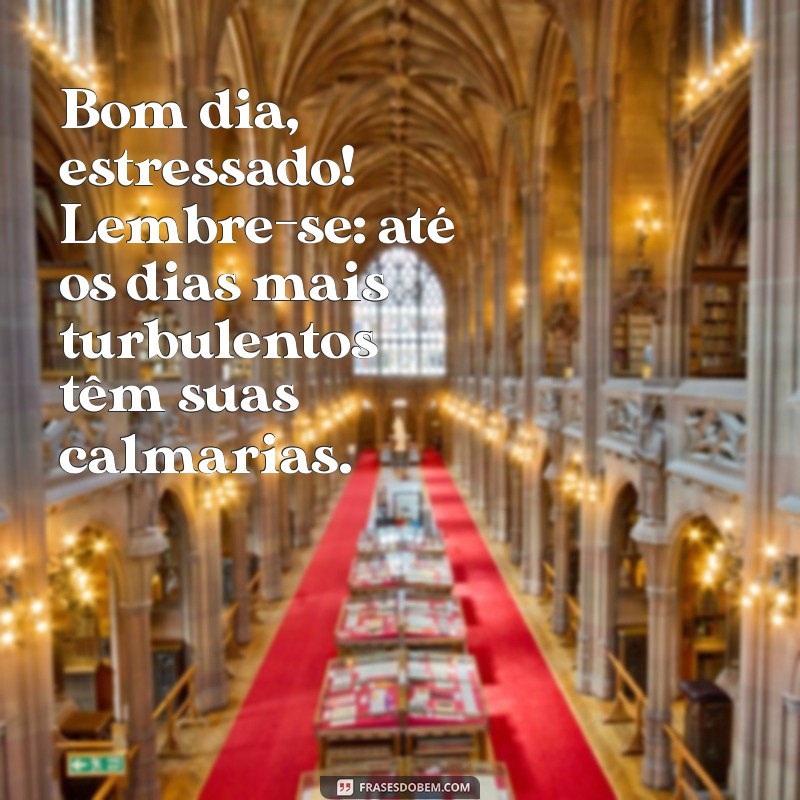 bom dia estressado Bom dia, estressado! Lembre-se: até os dias mais turbulentos têm suas calmarias.