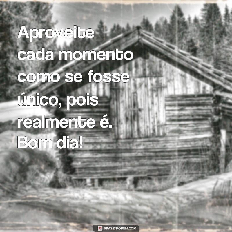 Desperte sua mente com essas frases de bom dia inspiradoras 