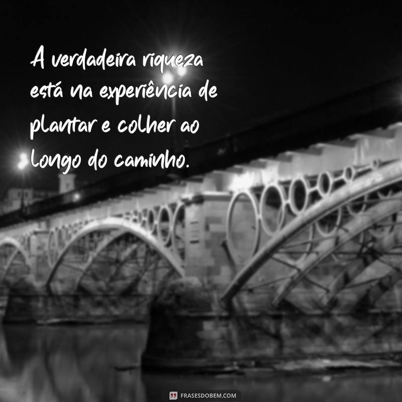 Frases Inspiradoras sobre Plantar e Colher: Cultivando Sabedoria e Resultados 