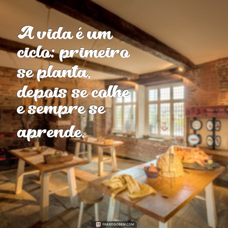 Frases Inspiradoras sobre Plantar e Colher: Cultivando Sabedoria e Resultados 