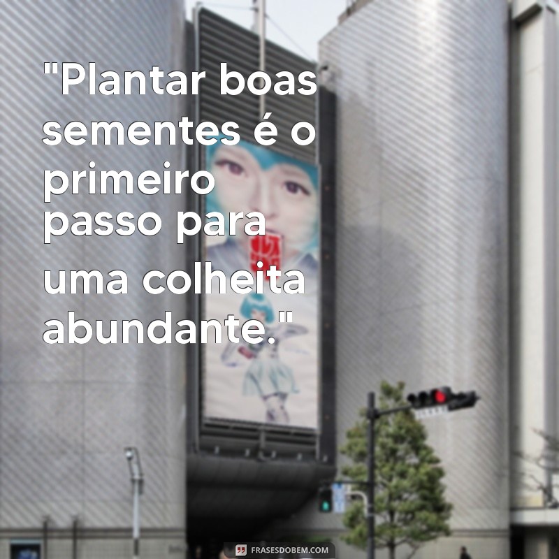 frases sobre plantar e colher 