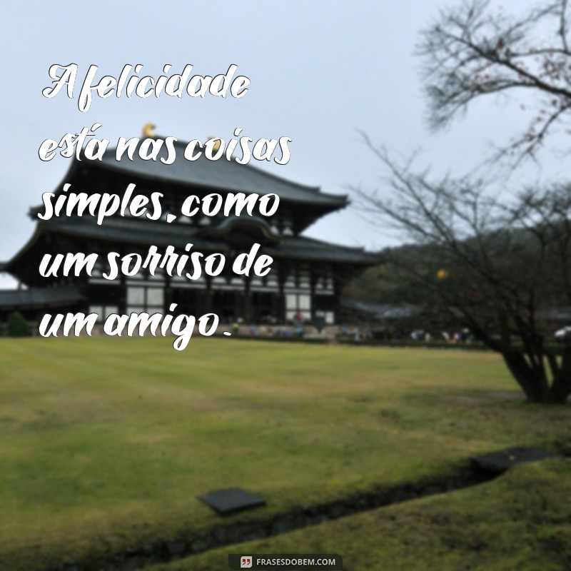 a felicidade está nas coisas simples A felicidade está nas coisas simples, como um sorriso de um amigo.