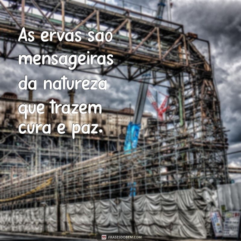 Descubra Frases Inspiradoras sobre Pontos de Umbanda para Conexão Espiritual 