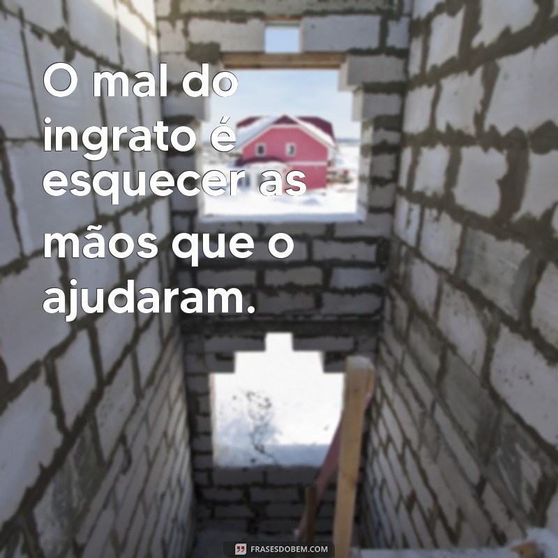 o mal do ingrato é O mal do ingrato é esquecer as mãos que o ajudaram.