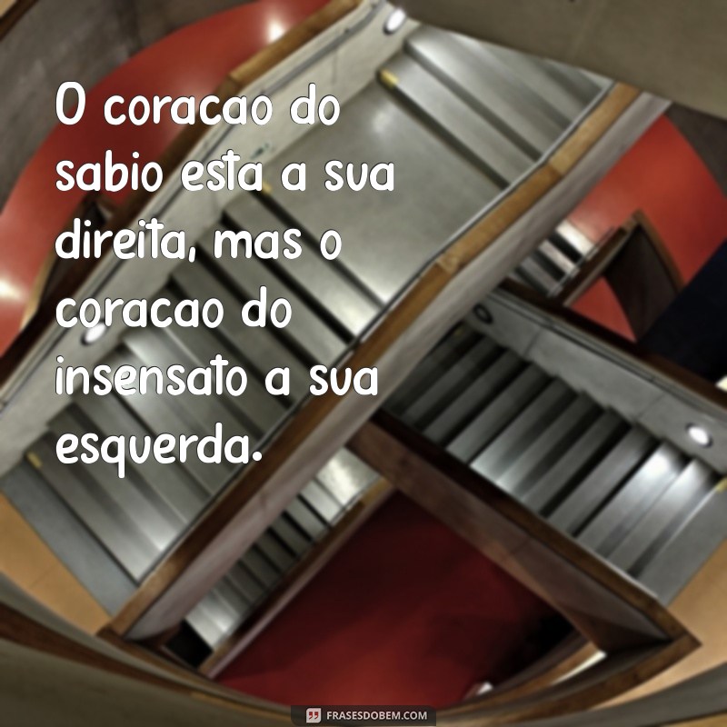 Frases Inspiradoras do Livro de Eclesiastes: Reflexões sobre a Vida e Sabedoria 