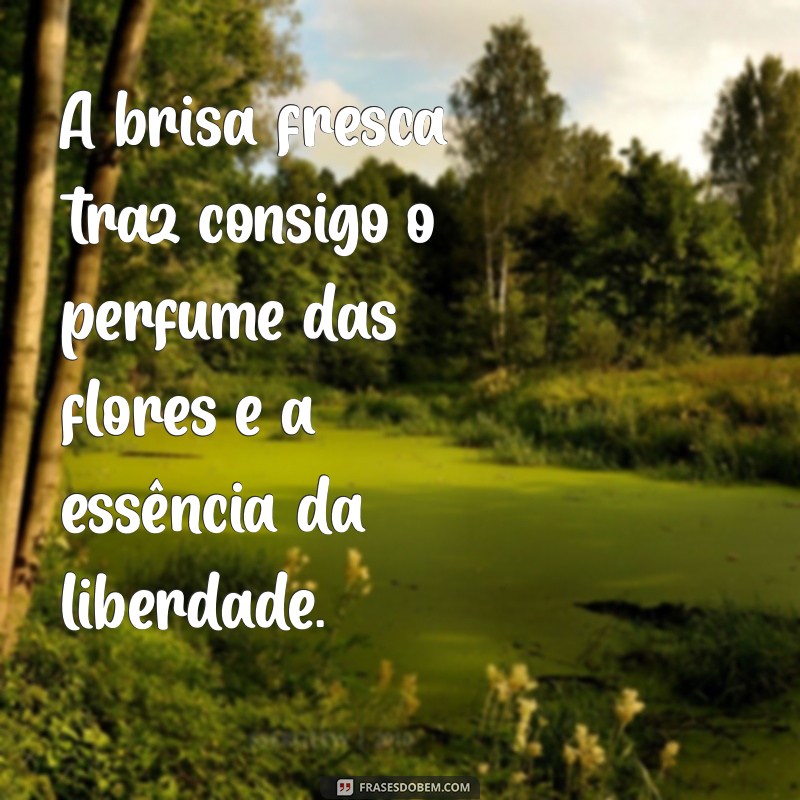 Frases Inspiradoras sobre a Natureza: Conecte-se com o Mundo Natural 