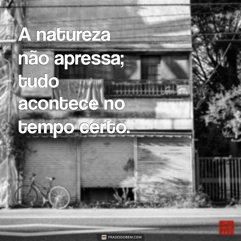 Frases Inspiradoras sobre a Natureza: Conecte-se com o Mundo Natural 