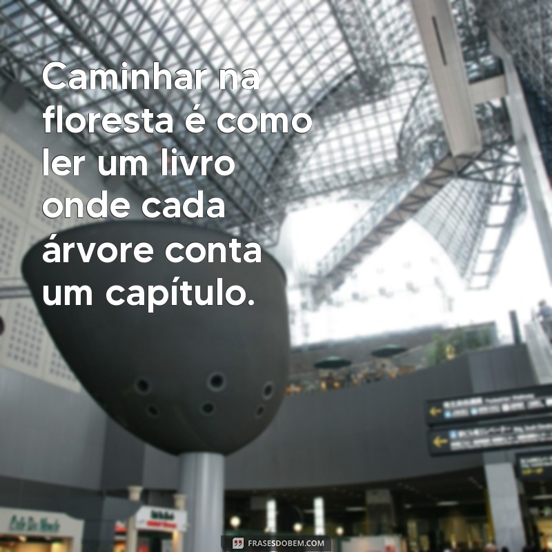 Frases Inspiradoras sobre a Natureza: Conecte-se com o Mundo Natural 